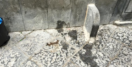 escrementi via di mezzo
